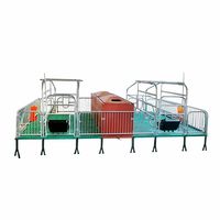 Lit de mise bas double pour truies, nouvelle cage de mise bas galvanisée pour porcs, pour fermes porcines, cages pour animaux