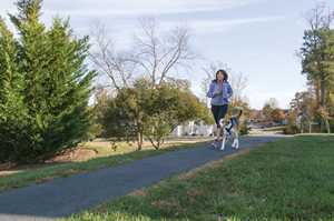 Harnais pour chien rembourré réfléchissant noir moyen Easy Sport réglable avec poignée pour animaux de compagnie - Product Image 6