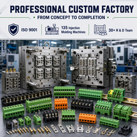 Moule d'injection plastique haute précision et moulage pour bornier électronique en PBT certifié ISO9001