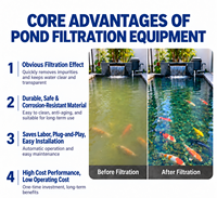 Système de filtration Muyuaqua avec microfiltre à tambour intégré MBBR Biofilter pour l'aquaculture RAS et l'élevage de poissons