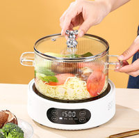 Casserole à soupe à double oreilles en verre borosilicate haute résistance à la température, cuisinière électrique en céramique, casserole à ragoût, casserole à nouilles instantanées