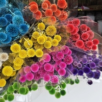 Fleurs et plantes préservées 20-25 têtes Fleurs séchées préservées Blue Planet Fleurs naturelles pour la maison ou la Saint-Valentin