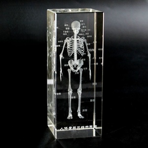 Cubo di Cristallo K9 Inciso al Laser 3D, Modello di Organi Umani: Cuore, Cervello, Dente, Scheletro, Fegato, Ornamento Didattico Medico, Souvenir per Dottori - Product Image 3