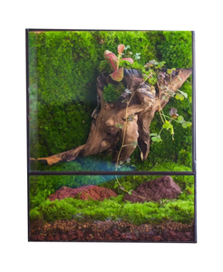 Handgemachtes rechteckiges US-Glaster rarium mit LED Grow Light Set Moosfarn & Tropen pflanzen Garten pflanzen liebhaber Geschenk - Product Image 1