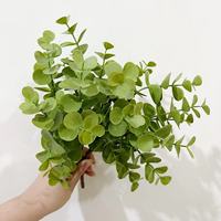 Plante Artificielle 5 Branches d'Eucalyptus, Feuilles de Monnaie, Composition Florale d'Auditorium de Style Européen, Bonsaï Plante aux Couleurs Automnales