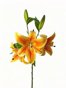 Einzelner Stiel, 3 Blüten, <span class=keywords><strong>2</strong></span> Knospen, künstliche Lilie, realistische Kunstblumen für Hotel-Tischdekoration, Party-Deko - Product Image 6