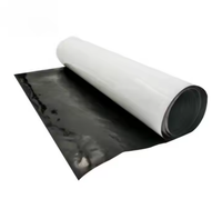 Film Panda noir et blanc/couverture de fosse d'ensilage feuille de plastique d'ensilage/Film de serre de blocage de lumière 100%