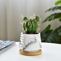 Petits pots en céramique pour plantes, fleurs, succulentes et cactus, décoration de jardin personnalisée