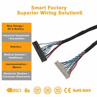 Harnais de câblage d'extension Jst Molex 2.0 pas 3 broches 4 broches 5 broches mini micro LVDS pour appareils électroménagers, instruments et dispositifs de communication