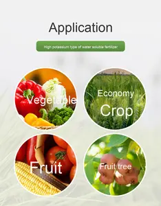 <span class=keywords><strong>ปุ๋ย</strong></span><span class=keywords><strong>น้ำ</strong></span>ละลายได้สำหรับปลูกพืชไร้ดิน สูตรไนโตรเจน ฟอสฟอรัส โพแทสเซียม 30-9-12 พร้อมธาตุอาหารรองสำคัญ - Product Image 5
