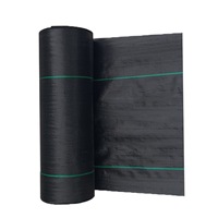 Toile de paillage PE/PP, rouleau de tapis anti-mauvaises herbes haute résistance, couverture de sol résistante aux déchirures pour l'agriculture