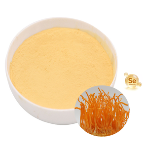 Matéria-Prima Orgânica de Cordicepina de Alta Qualidade Grau Alimentício, Pó de <span class=keywords><strong>Cordyceps</strong></span> Militaris Enriquecido com Selênio para Comprimidos e Cápsulas - Product Image 2