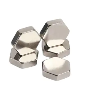 Magnet Manufacturers Wholesale Custom Magnet Hexagonal Strong Custom NdFeb Magnetic Material Magnet