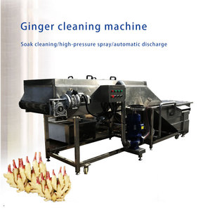 Machine <span class=keywords><strong>de</strong></span> nettoyage <span class=keywords><strong>de</strong></span> légumes racines à haute efficacité pour fruits et légumes, laveuse commerciale <span class=keywords><strong>de</strong></span> racines <span class=keywords><strong>de</strong></span> gingembre et <span class=keywords><strong>de</strong></span> lotus - Product Image 5
