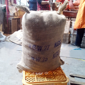 Châtaignes fraîches de grande taille du Shandong, récolte 2021 - Product Image 4