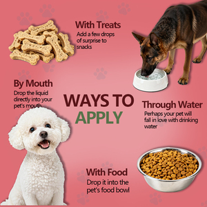 Gotas Dentais para Cães e Gatos Suplemento para Saúde Dental com Protease de Chá Verde Ajuda a Manter os Dentes Limpos Líquido Dental para Animais de Estimação - Product Image 4