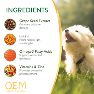 Private Label <span class=keywords><strong>Cat</strong></span> Dog Soft mastica integratore Senior per la salute del cervello degli occhi migliorare la cognizione Omega 3 acidi grassi calmanti mastica morbida - Product Image 5