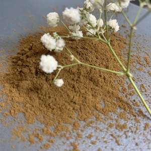 100% 天然<span class=keywords><strong>Mucuna</strong></span> <span class=keywords><strong>Pruriens</strong></span>エキス10:1粉末 - Product Image 2