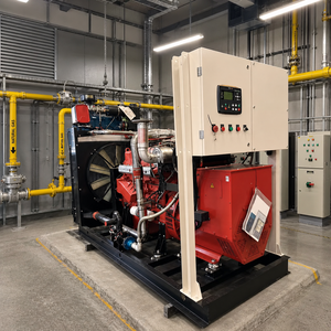 เครื่องกำเนิดไฟฟ้าแบบพกพา Ritech Generac 500kva ใช้ก๊าซธรรมชาติ 600Kva 700Kva 800Kva 2000kw 3000kw 20kw อุปกรณ์ผลิตไฟฟ้าจากก๊าซ - Product Image 5
