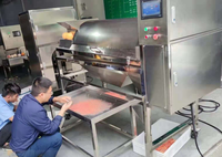 Automatische Peeling Granaatappel Grapefruit Mandarijn Passievrucht Zaad Verwijderen Machine Fruit Pulp Separator Machine