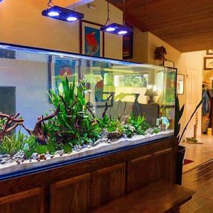 Acuarios Acrílicos Premium Personalizados de Fábrica, Ligeros, Resistentes y Elegantes - Product Image 3