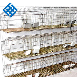 Jaula de malla de conejo con agujero cuadrado galvanizado Malla de alambre de hierro con precio de fábrica de China - Product Image 6