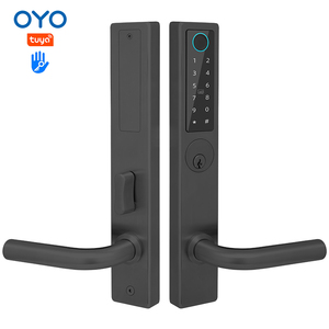 OYO 美国 ANSI 指纹锁 防水 IP65 户外 TTlock Tuya 智能生物识别门锁 适用于钢门 带存储卡 - Product Image 1