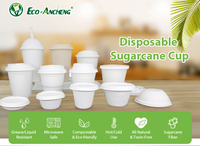 Gobelet jetable en bagasse de canne à sucre biodégradable de haute qualité pour le camping, pour boissons chaudes et froides