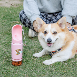 Conjunto de Tigelas de Alimentação Portáteis para Animais de Estimação em Aço Inoxidável de 14 Oz da Everich, Garrafa de Água para Cães - Product Image 3