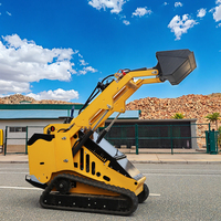 Mini chargeuse compacte sur chenilles de haute qualité Mini chargeuse compacte chinoise Mini Dumper