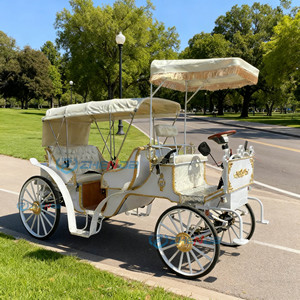 Wedding Occasion Horse Carriage Sightseeing Vehicle Cheap Price Carriage Special Transportation Vehicle Customized Seats Awning - Product Image 6