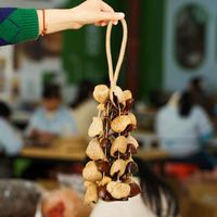 Mixed Seed Shell Shaker Design Options Handmade Nut Shell Rattle Musical Instrument Sound Effects Acoustic Percussion Sessions