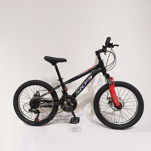 Vélo pour enfant de 20 pouces pour fille de 8 ans, vélo d'école primaire, vélo de montagne, vélo pour enfant de 9 ans, une pièce, 20 pouces, vélo d'étudiant - Product Image 5