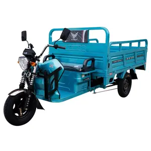 Motocicleta Elétrica de 3 Rodas Para Carga Adulto Mobilidade Scooter Novo Triciclo Elétrico Rickshaw Venda Quente Nas Filipinas