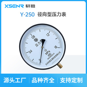 Manomètre Suzhou Xuansheng Y250 1,6 Mpa, 250 mm, acier inoxydable, raccord fileté, pour utilisation avec chaudière à vapeur - Product Image 2