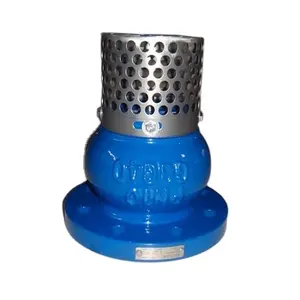 Ductile Cast Iron Foot Valve With Stainless Steel Strainer