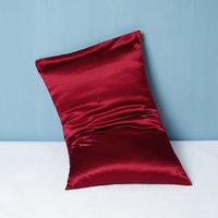 Nouvelle Vente Chaude 2026 : Housse de Coussin en Soie Premium Effet Soie, Sans Dommage pour les Cheveux, Faite à la Main