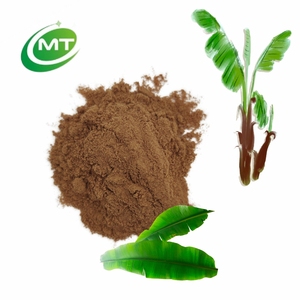 Extracto <span class=keywords><strong>de</strong></span> Hoja <span class=keywords><strong>de</strong></span> Plátano, Material Herbal Natural Rico en Polifenoles Antioxidantes, Suministro OEM a Granel - Product Image 1
