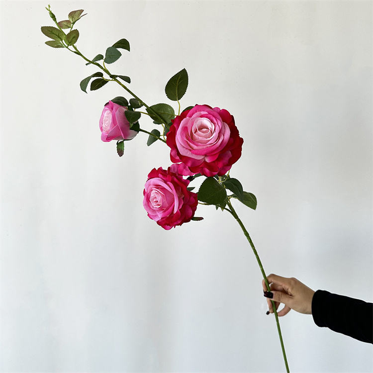 กุหลาบสีชมพู