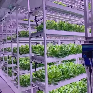 212 löcher 4-schicht-indoor-plantungsregal vertikales hydroponisches landwirtschaftliches bepflanzungssystem