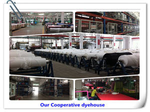 Usine de tissus en Chine 75D Polyester Birdseye 135g Miton Mesh évacuation de l'humidité respirant POLO Shirt Jersey Sports - Product Image 4