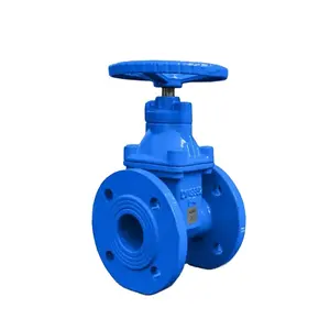 TKFM dn50 pn16 underground non rising stem epdm resilient sealing awwa c509 gate valve