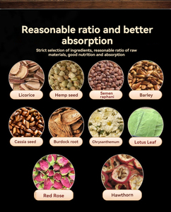 ชาดีท็อกซ์ลำไส้ [ช่วยการย่อยอาหาร] - ซองชาสมุนไพรเพื่อการขับถ่ายที่ราบรื่นและลดน้ำหนักอย่างเป็นธรรมชาติ - Product Image 5