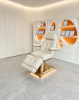 Table de massage électrique de luxe à commande monoposte pour spa et salon, idéale pour esthéticiennes, soins du visage, esthétique et extensions de cils