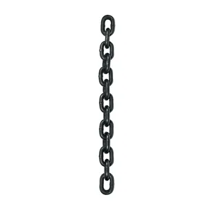 Master con 3 unità a catena per paranco POL-1P, Pretul - Product Image 1