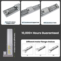 Módulo Lineal KHMOS HYS135 G2005 de 450 mm, Plataforma de Posicionamiento XYZ de Precisión de 0,03 mm, Dispensador para Router CNC, Industria 3C
