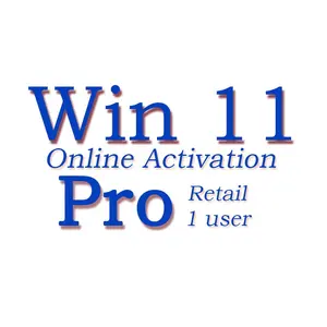 Echte Win 11 Pro Licentie 100% Activering Online Win 11 Pro Key Verzenden Via Ali Chatpagina