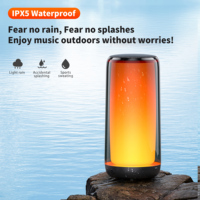 QERE HF33 Mini Enceinte Subwoofer Portable Sans Fil à Alimentation CC avec LED RGB Clignotantes pour Extérieur et Basses Puissantes pour Fêtes