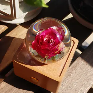 Hot Selling Trending Producten 2024 Nieuwkomers Op Amazon Crystal Real Flower Ball Hoogwaardige Luidspreker Met Dimbaar Led Licht