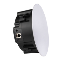 Haut-parleur de plafond intelligent sans fil BT, Airplay, multiroom, AUX, USB, enceintes actives pour home cinéma, restaurant, centre commercial